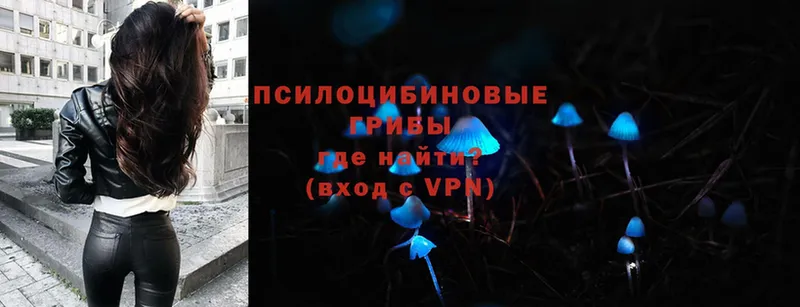 Псилоцибиновые грибы Magic Shrooms  Владивосток 