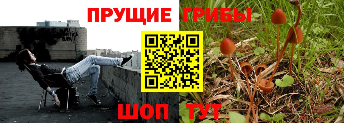 Псилоцибиновые грибы Magic Shrooms  Вход с VPN  Владивосток 